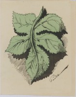 127a • Tas de gredins. (Dubbelsida) Pièce de Faustin signèe Pudor-Cambronne. Sans nom d´imprimeur.